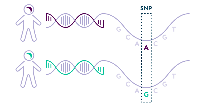 DecodeMe Science