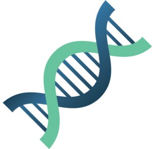 Image of DNA