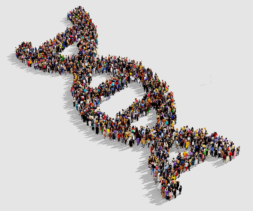 DNA molecule formed by chains of people