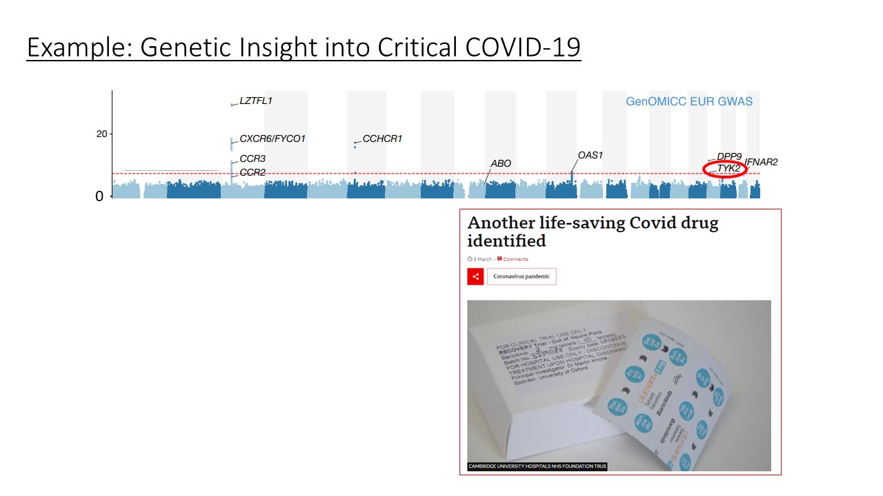 Example: genetic insight into COVID-19. A graph showing that the TYK2 gene could predispose people to suffer more with COVID-19. Next to the graph is an article on a new ‘life saving’ COVID drug .