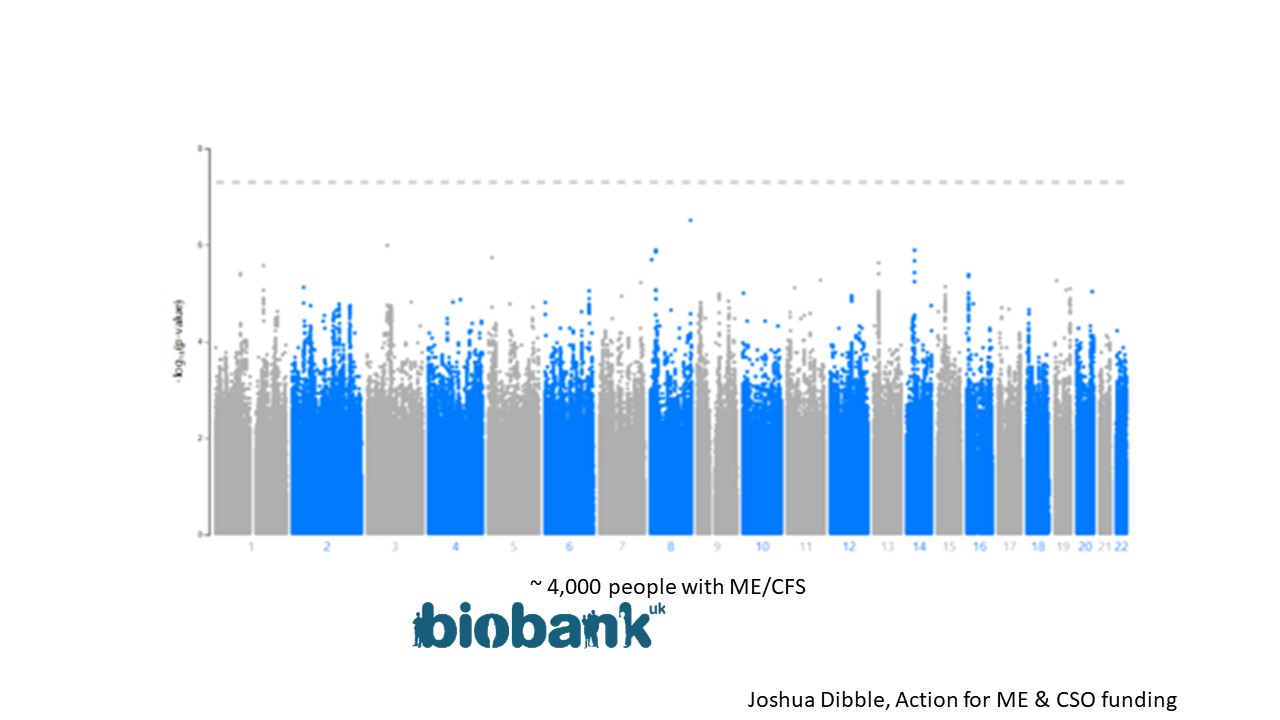 A graph showing genetic risk factors were not identified in a UK biobank cohort of individuals with ME/CFS. Research by Joshua Dibble using Action for ME and CSO funding . 